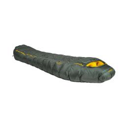 Patizon D 590