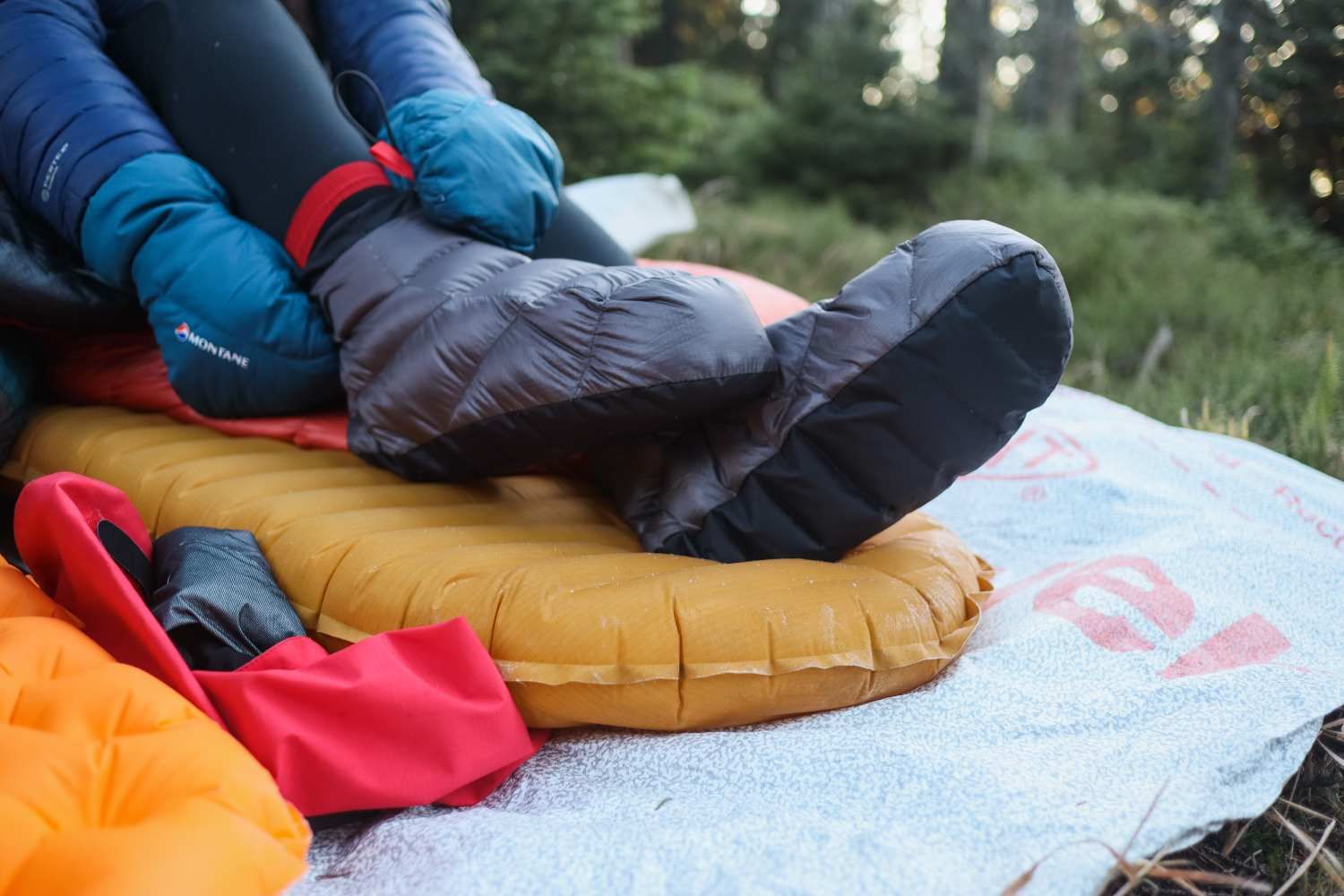 20221106091956 IMG 6238 (1)