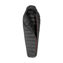Patizon R600