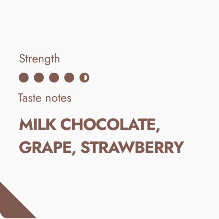 Colombia Coffeebrewer Coffeebrewer The Brew Company 168943 1200x (1)