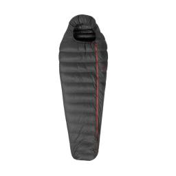 Patizon R600