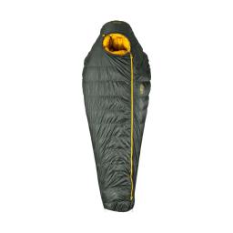 Patizon D 590