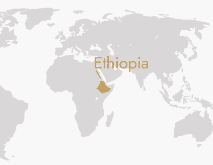 Ethiopia Map 20fad182 F098 4bd9 A0c5 1e4a8fb21450 1024x1024