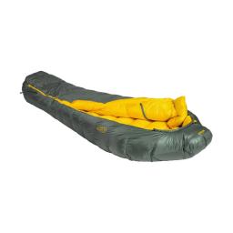 Patizon D 590