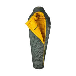 Patizon D 590