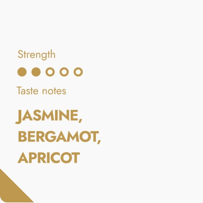 Ethiopia Coffeebrewer Coffeebrewer The Brew Company 858090 1200x (1)